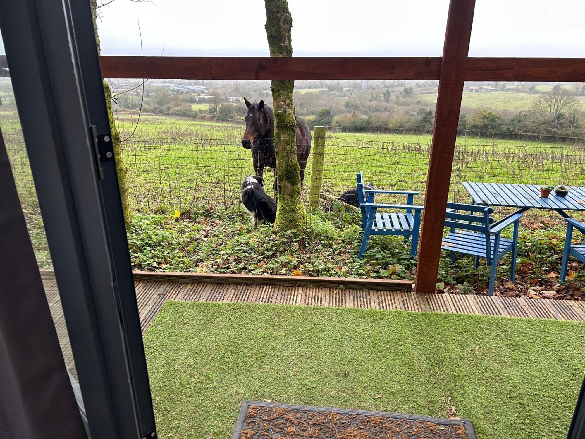 Sky Gazer Cabin In The Woods Dublín Exterior foto